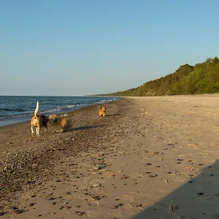 Pepasowka * Łukęcin