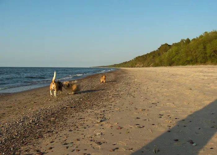 Pepasowka * Łukęcin